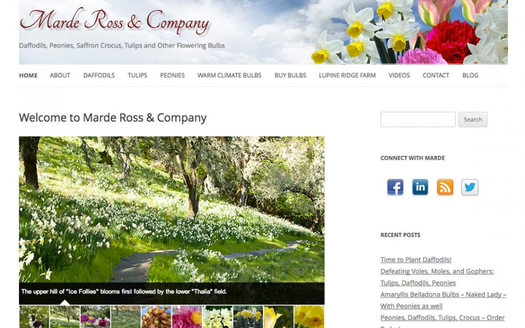 New Marde Ross Website