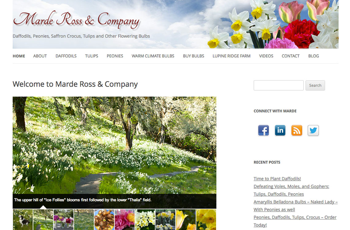 Marde's 2013 website