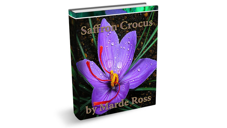Please Download My Free eBook Saffron Crocus